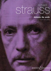 Strauss: Andante